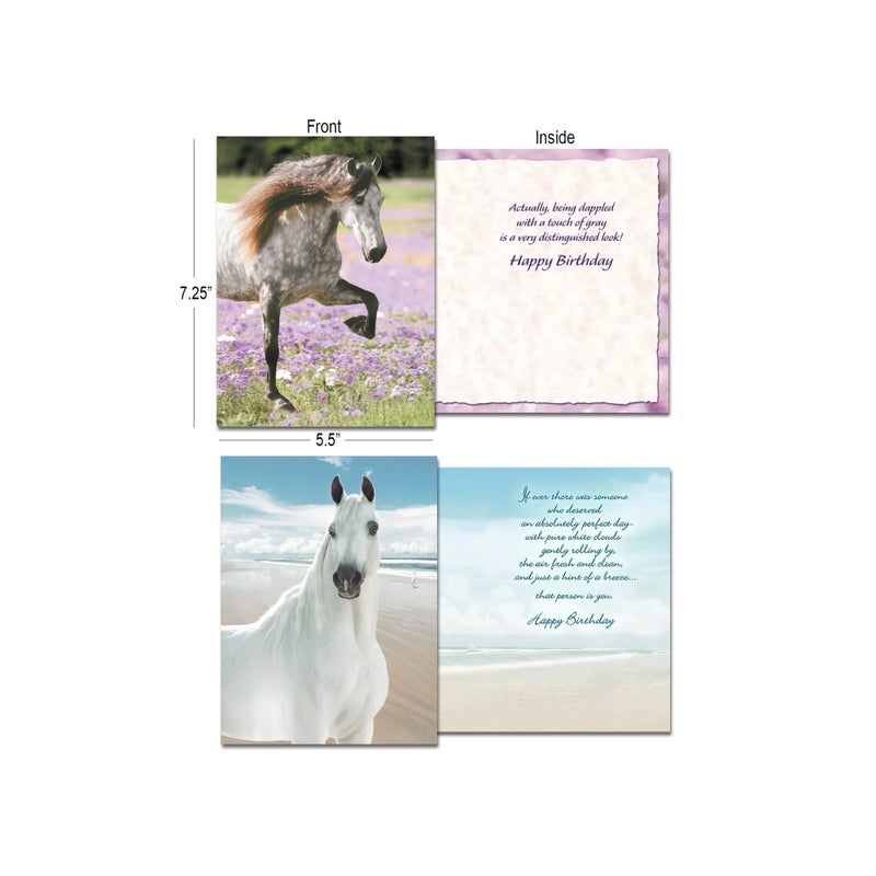 Leanin' Tree Horse Country - Made in USA - 20 Assorted Cards with Envelopes All Occasion, Greeting Cards Assortment Box - Includes Birthday, Blank Notecards with Envelope, Thank You, Sympathy and More - Image 2